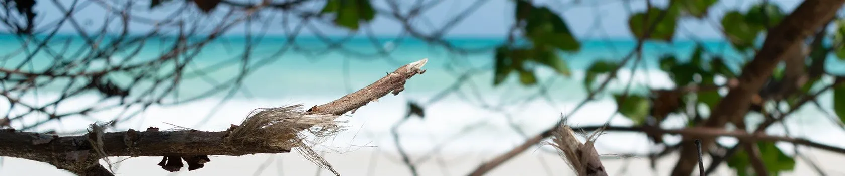 andaman and nicobar islands