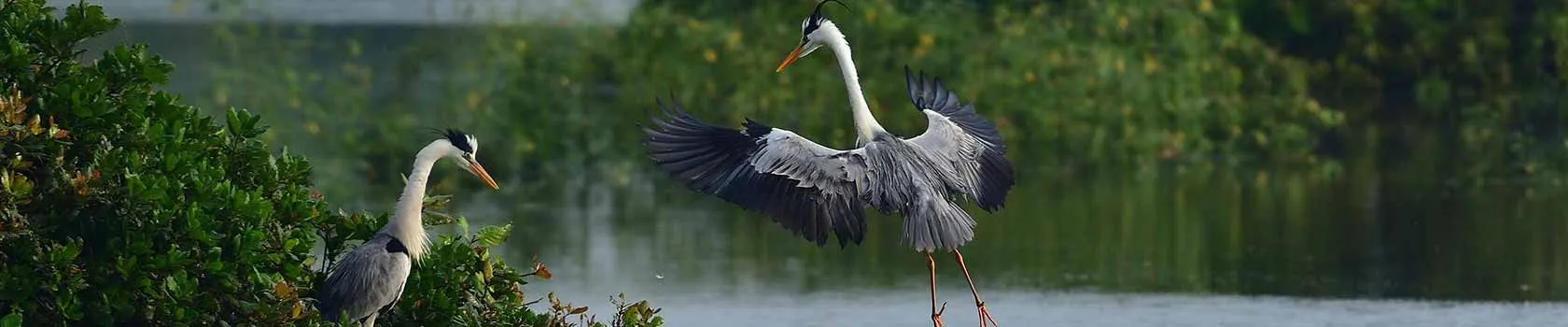 tamilnadu tourism packages
