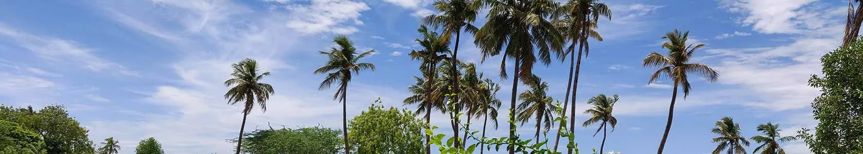best places to visit in telangana