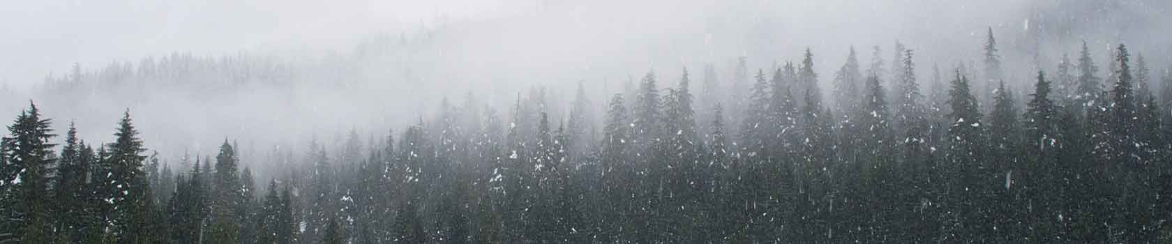 auli tourism