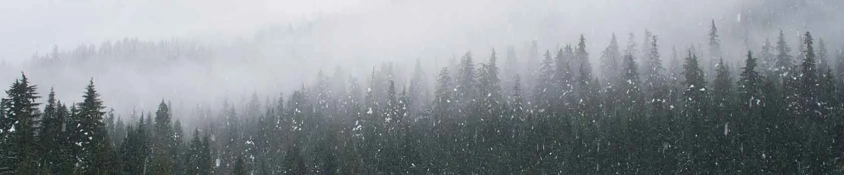 auli tourism