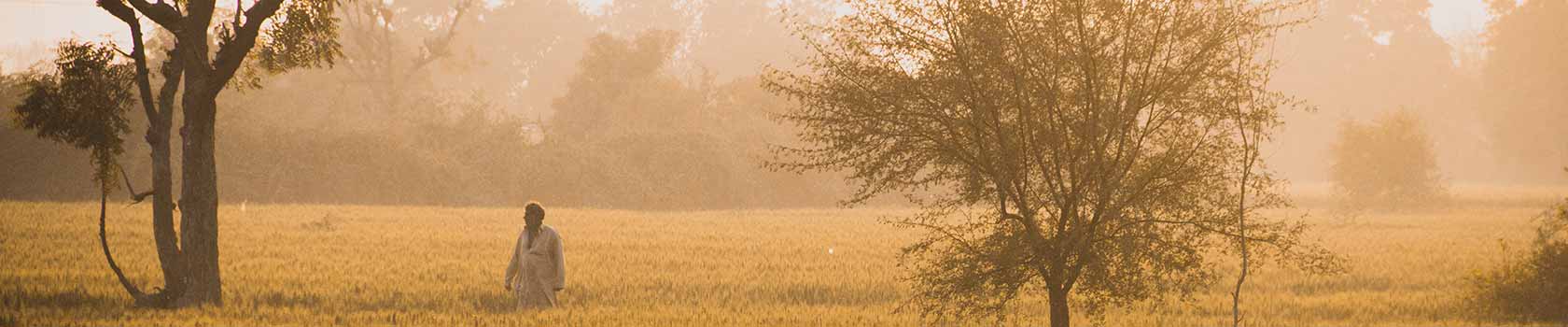chandigarh tourism
