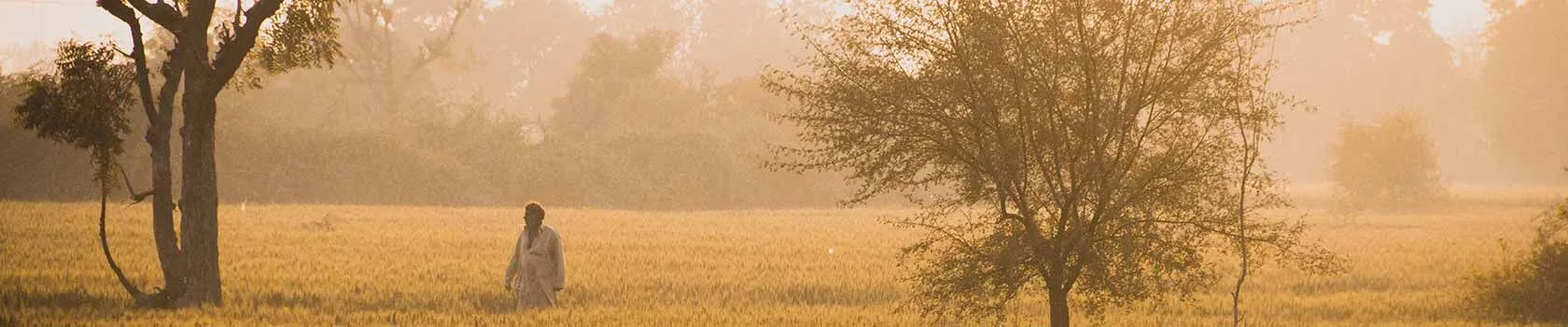 chandigarh tourism