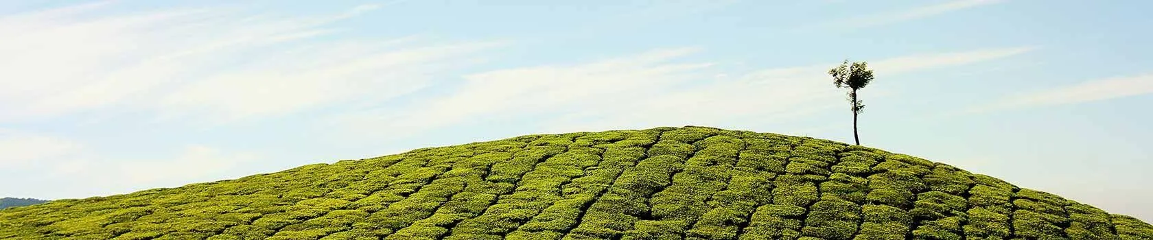 hill stations in karnataka