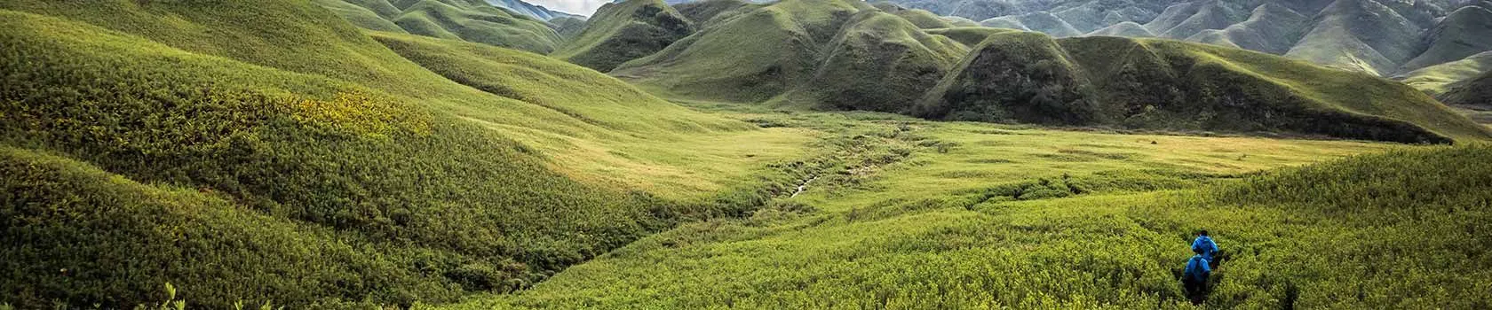 nagaland tourism