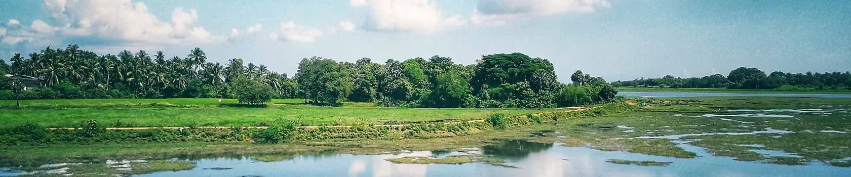 odisha tourism