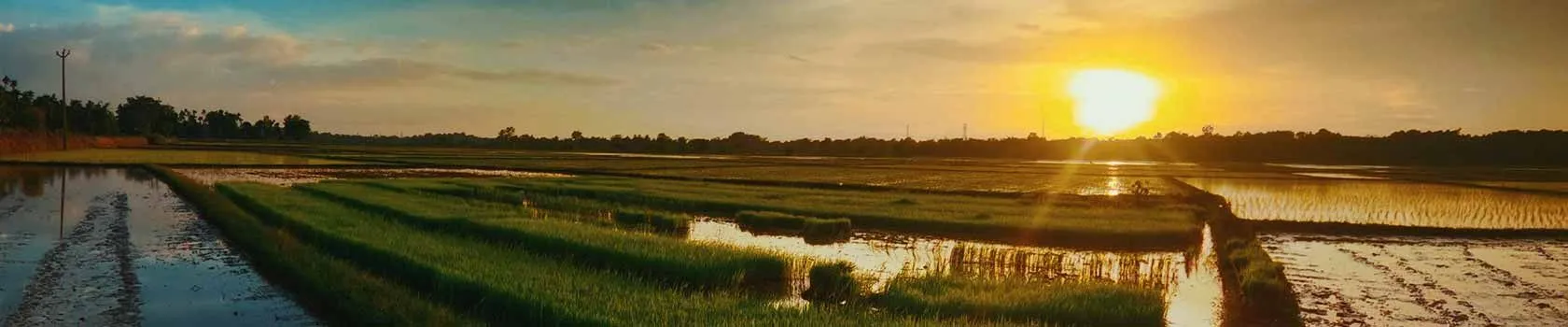 tripura tourism