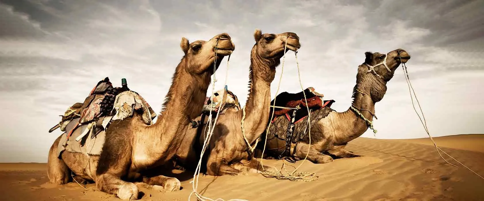 ajmer tourist places