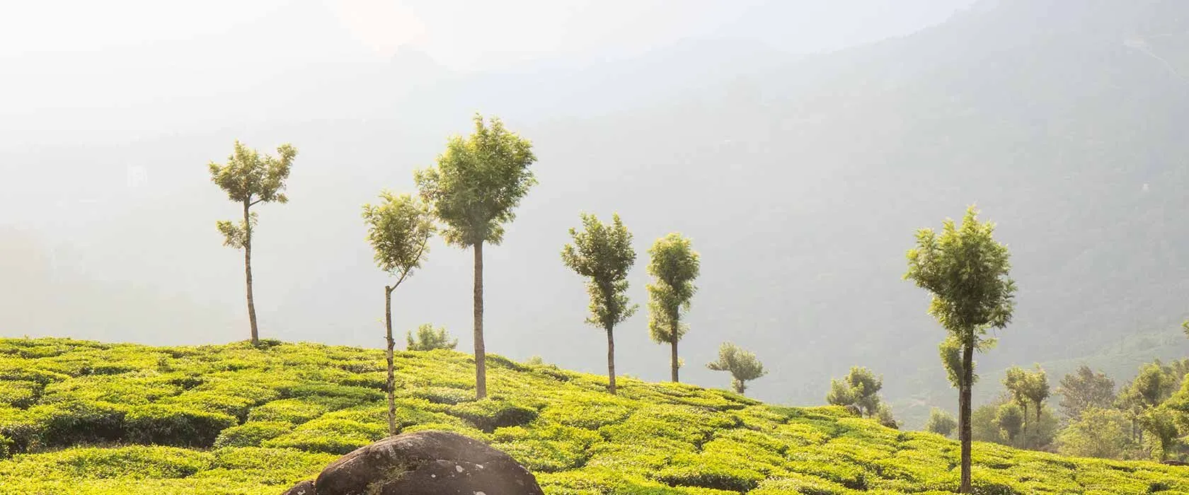 best season to visit kerala