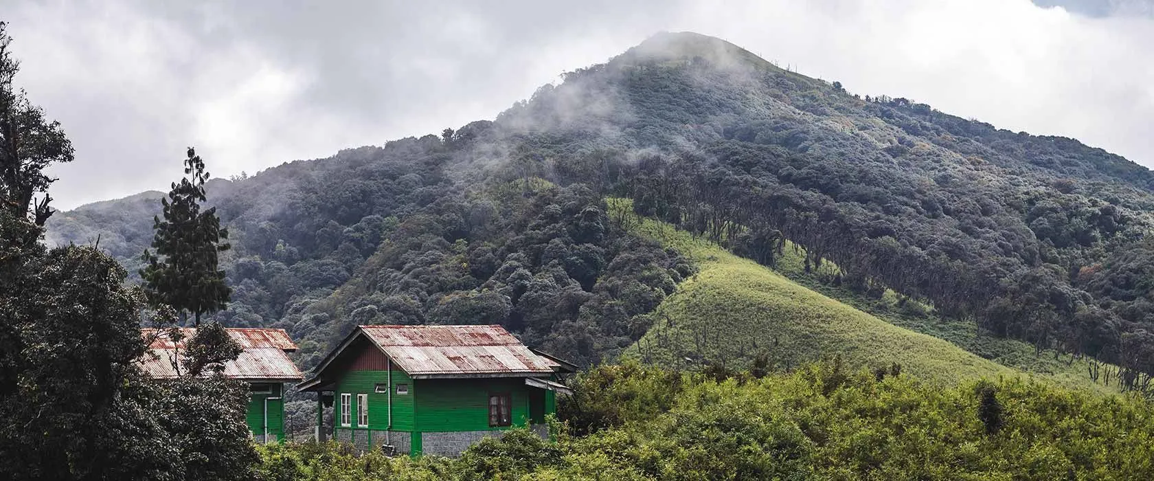 nagaland trip