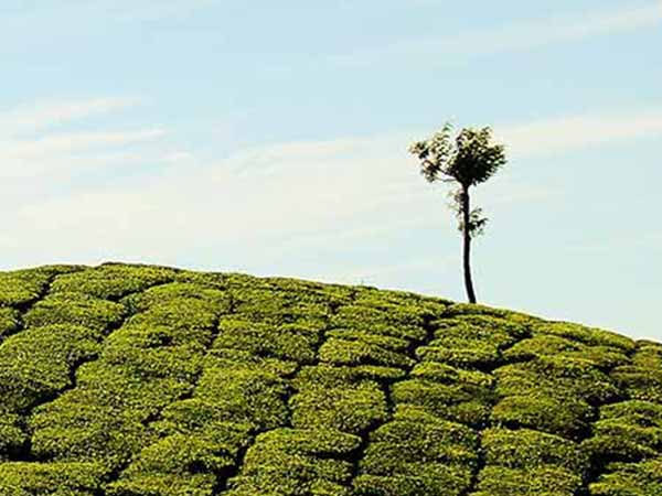 Karnataka