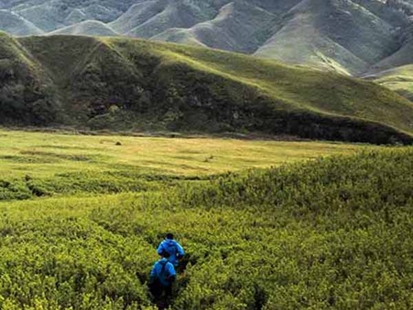 Nagaland