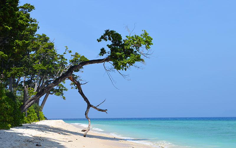 andaman nicobar island