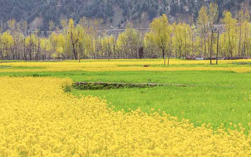 best places to visit in jammu and kashmir