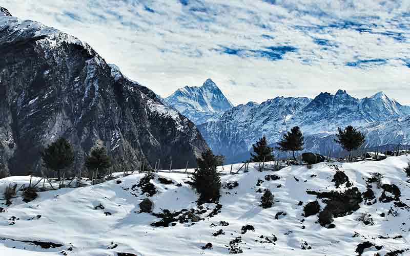 best time to visit auli