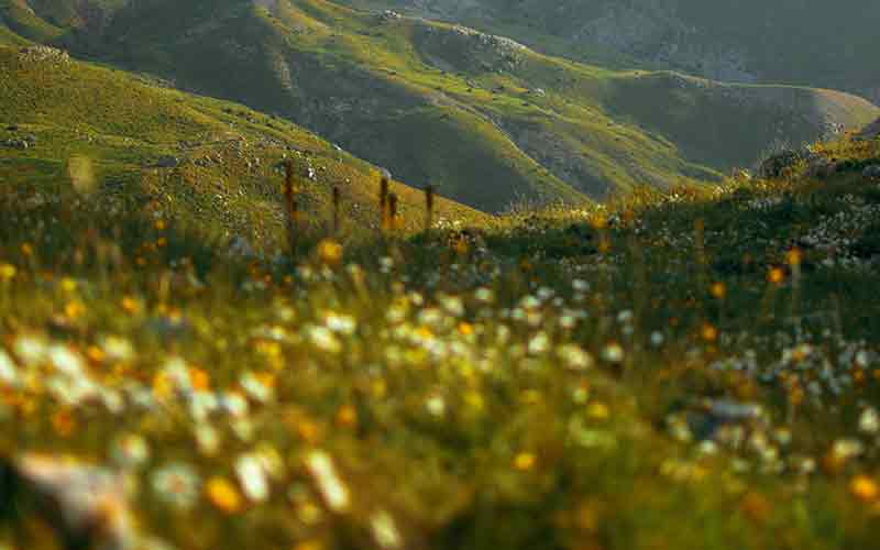 best time to visit in valley of flowers