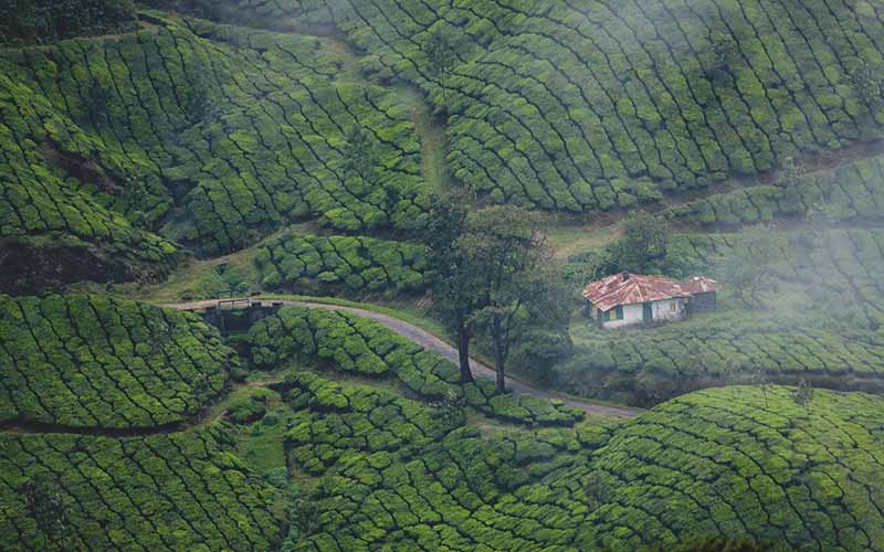 best time to visit kerala