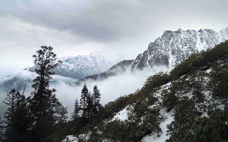 himachal tour packages