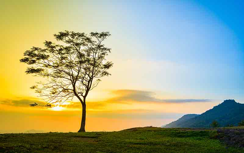 Himachal Pradesh - The land of apples