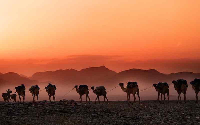 things to see in pushkar