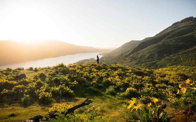 valley of flowers tour cost