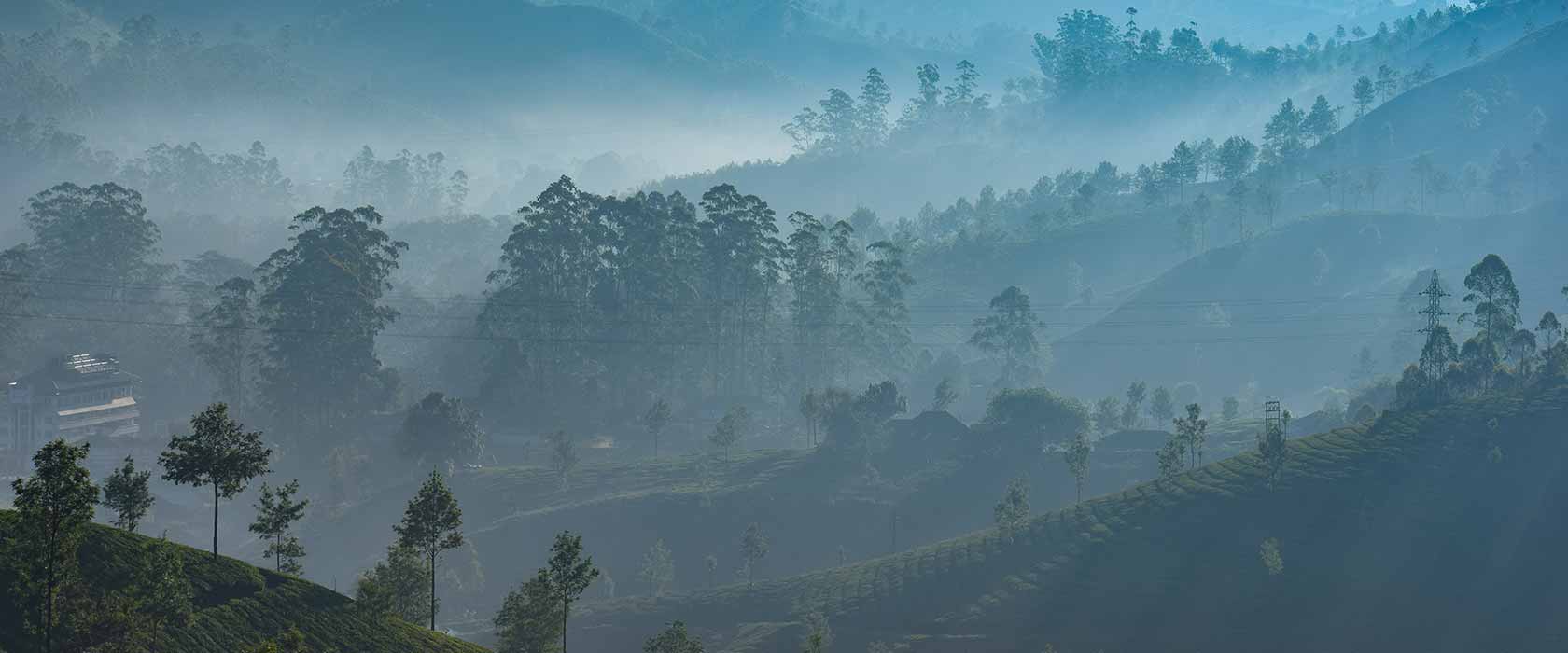 Karnataka