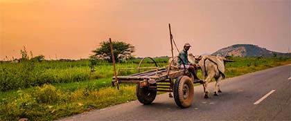 Andhra Pradesh