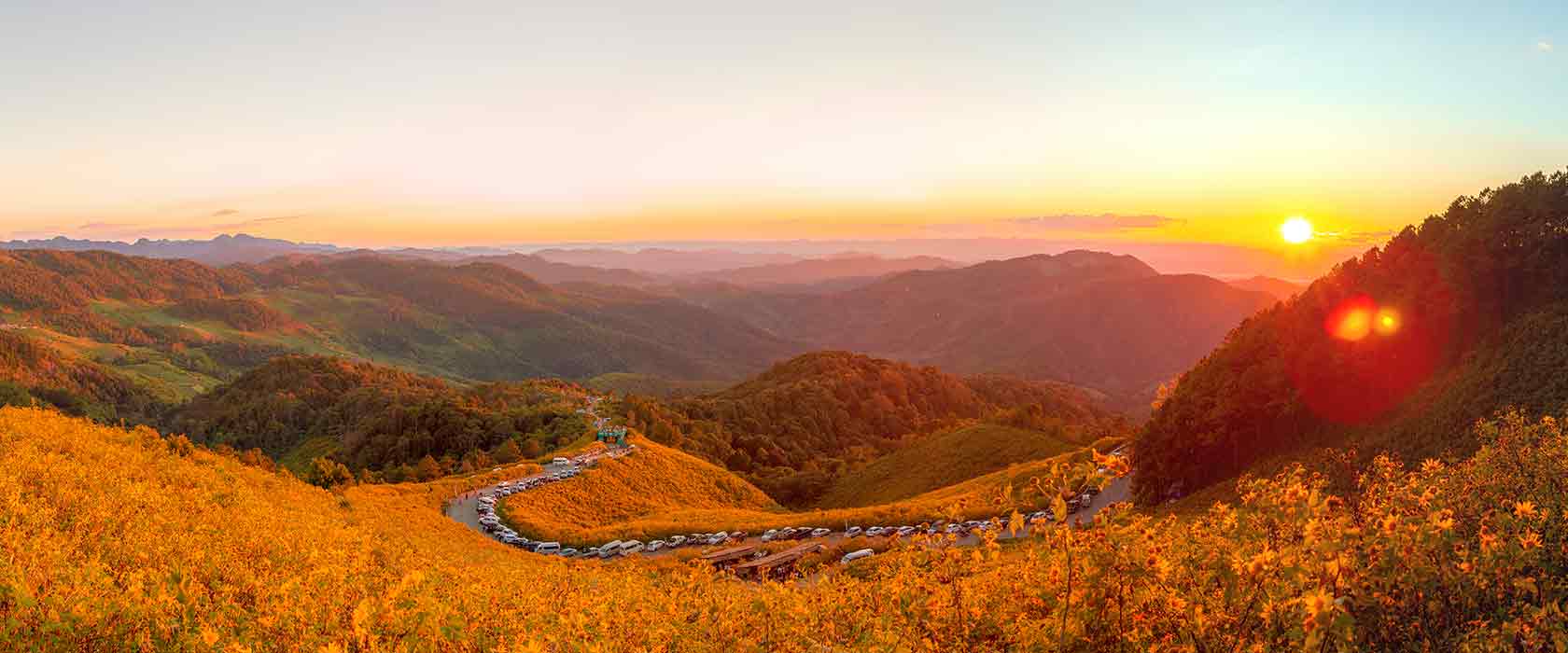 Valley of Flowers