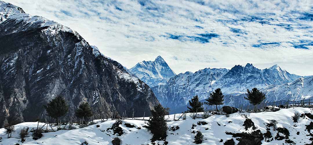 Auli Tourism