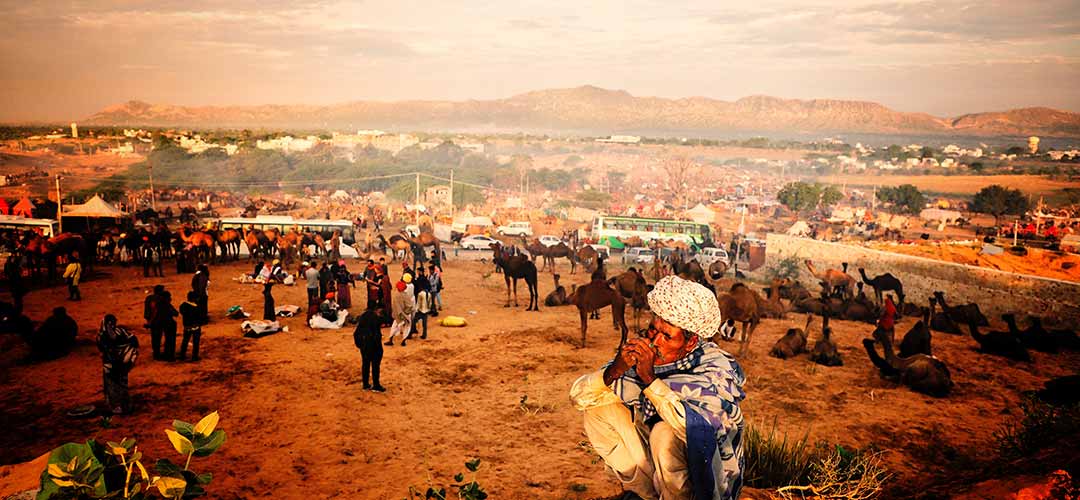 Camel Fair Pushkar