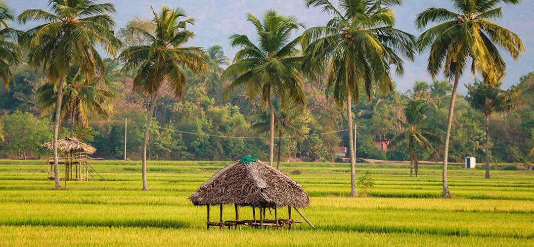 Kerala Tourism