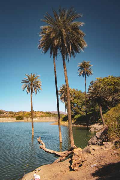 Mount Abu Tourism