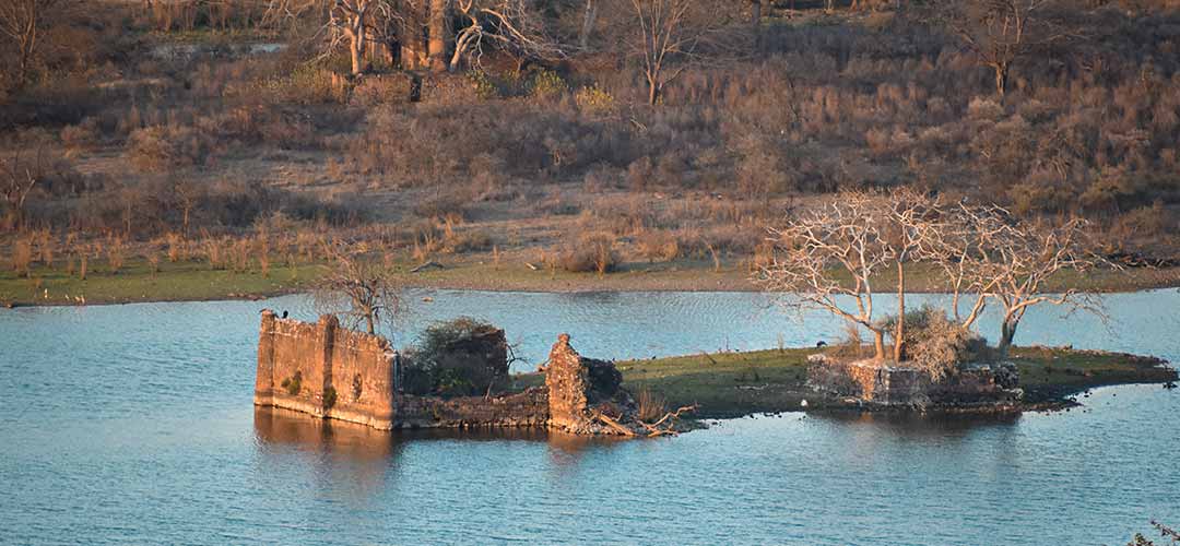 Ranthambore National Park Rajasthan