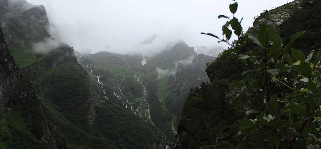 Valley of Flowers