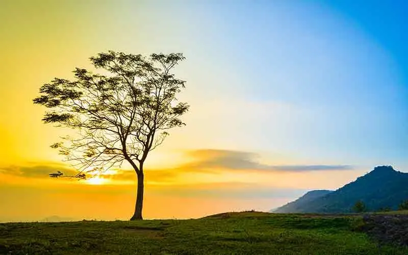himachal tourism