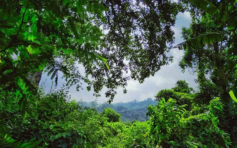 tourist places in tripura